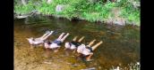 IMG-20230609-WA0019
