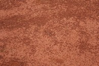 2010-06-01 Tenis/IMG_0448.JPG
