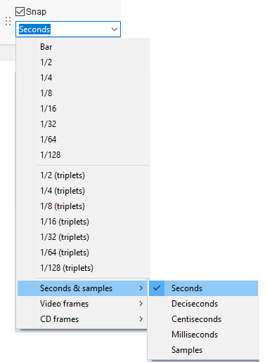 Snapping options.png